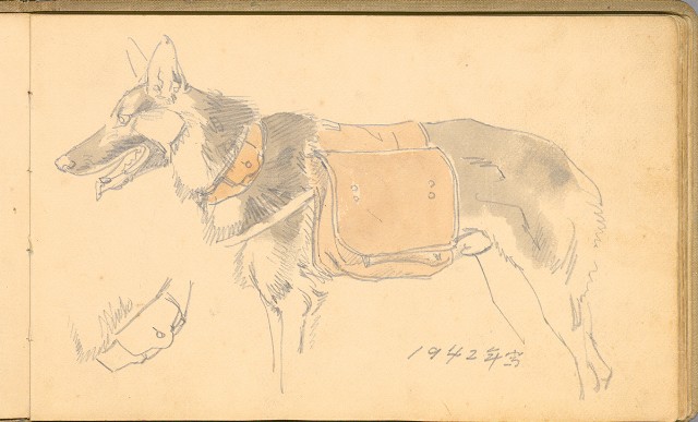 藏品:日籍時期婦女及狼犬等058的(56)張圖片