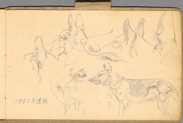 藏品:日籍時期婦女及狼犬等058的(57)張圖片