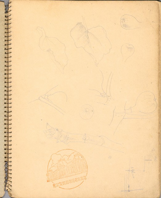 藏品:人物、花鳥、山莊等059的(2)張圖片