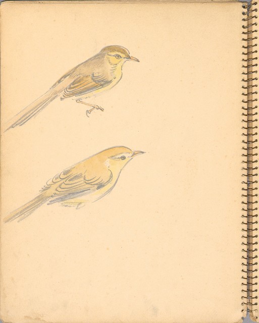 藏品:人物、花鳥、山莊等059的(10)張圖片