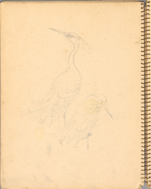 藏品:人物、花鳥、山莊等059的(14)張圖片