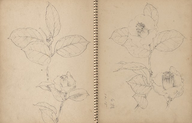 藏品:人物、動物、植物、文山指南宮等寫生集的(14)張圖片