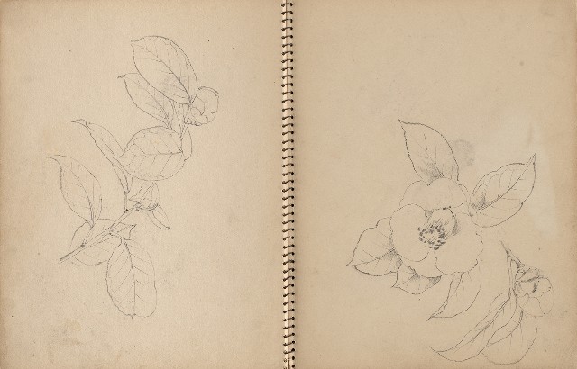 藏品:人物、動物、植物、文山指南宮等寫生集的(15)張圖片
