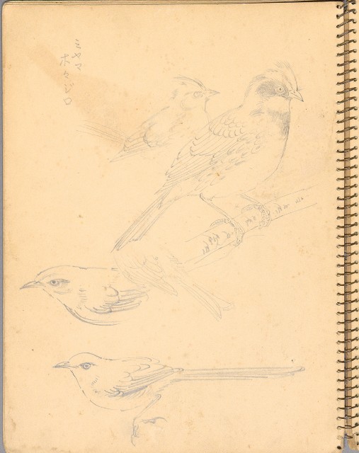 藏品:人物、花鳥、山莊等059的(16)張圖片