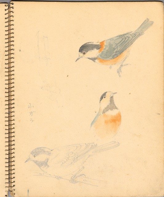 藏品:人物、花鳥、山莊等059的(17)張圖片