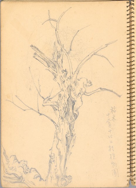 藏品:人物、花鳥、山莊等059的(18)張圖片