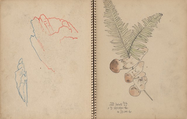 藏品:人物、動物、植物、文山指南宮等寫生集的(19)張圖片