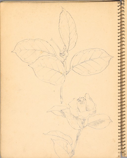 藏品:人物、花鳥、山莊等059的(24)張圖片