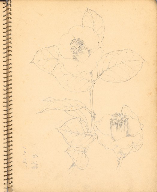 藏品:人物、花鳥、山莊等059的(25)張圖片