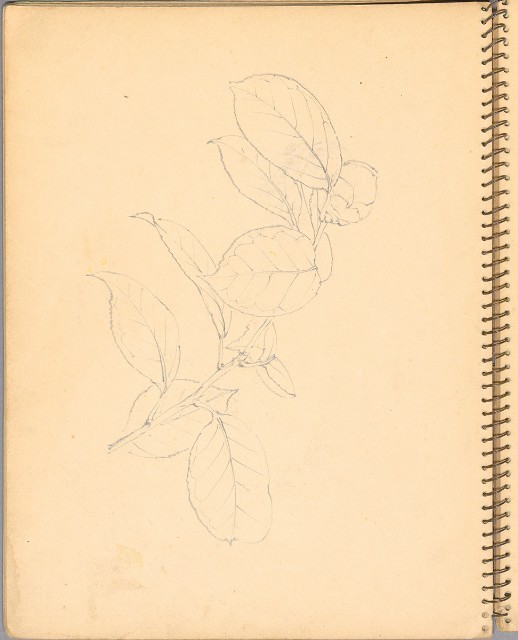 藏品:人物、花鳥、山莊等059的(26)張圖片