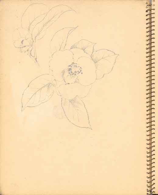 藏品:人物、花鳥、山莊等059的(27)張圖片