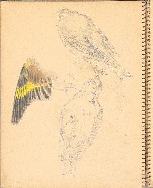 藏品:人物、花鳥、山莊等059的(28)張圖片