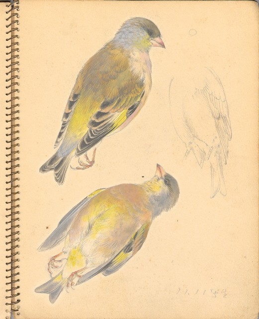 藏品:人物、花鳥、山莊等059的(29)張圖片