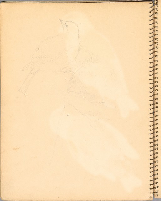 藏品:人物、花鳥、山莊等059的(30)張圖片