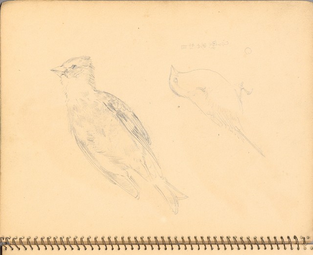 藏品:人物、花鳥、山莊等059的(31)張圖片