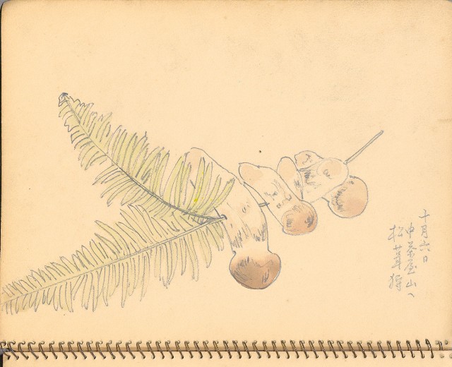 藏品:人物、花鳥、山莊等059的(35)張圖片