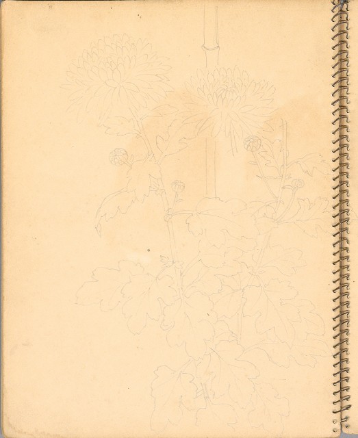 藏品:人物、花鳥、山莊等059的(40)張圖片