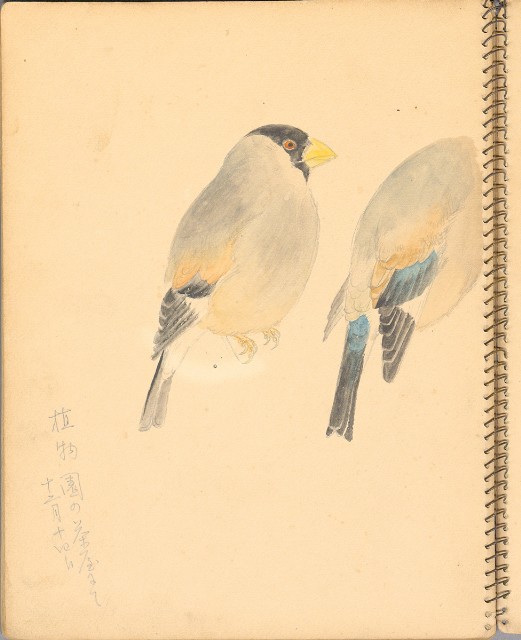 藏品:人物、花鳥、山莊等059的(42)張圖片