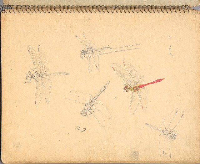 藏品:人物、花鳥、山莊等059的(45)張圖片