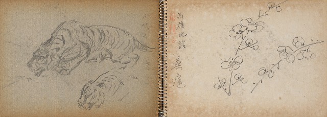 藏品:澎湖鯨魚洞、高雄月世界、動物及植物等寫生集的(2)張圖片