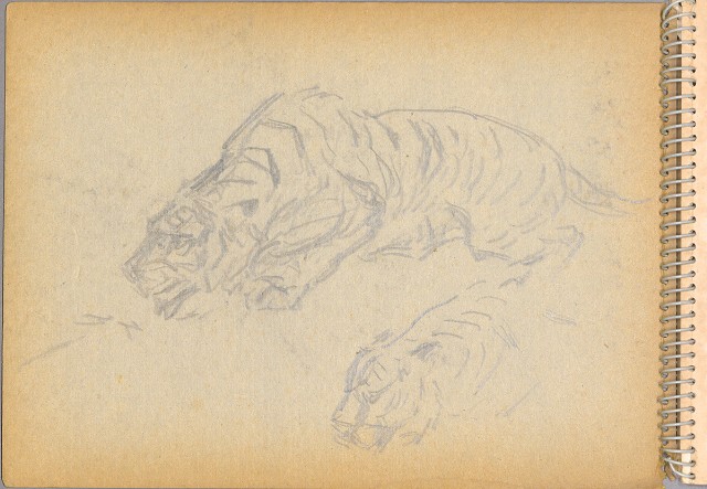 藏品:老樹幹、高山、鯨魚洞等061的(2)張圖片