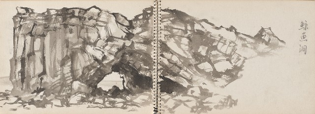 藏品:老樹幹、高山、鯨魚洞等061的(4)張圖片