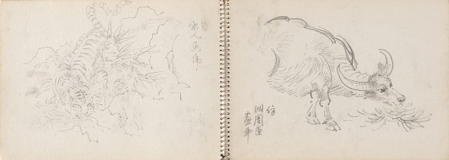 藏品:澎湖鯨魚洞、高雄月世界、動物及植物等寫生集的(5)張圖片