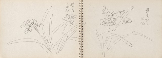 藏品:老樹幹、高山、鯨魚洞等061的(6)張圖片