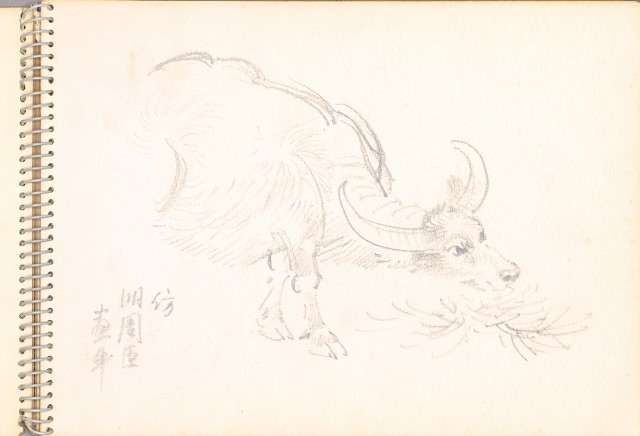 藏品:老樹幹、高山、鯨魚洞等061的(7)張圖片