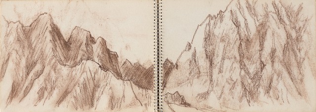藏品:老樹幹、高山、鯨魚洞等061的(8)張圖片