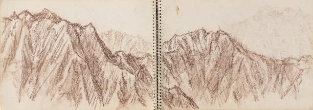 藏品:老樹幹、高山、鯨魚洞等061的(10)張圖片