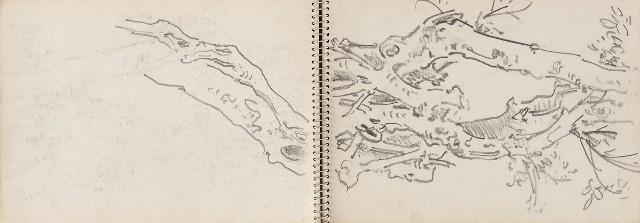 藏品:澎湖鯨魚洞、高雄月世界、動物及植物等寫生集的(11)張圖片