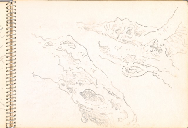 藏品:老樹幹、高山、鯨魚洞等061的(11)張圖片