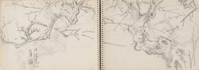 藏品:澎湖鯨魚洞、高雄月世界、動物及植物等寫生集的(13)張圖片