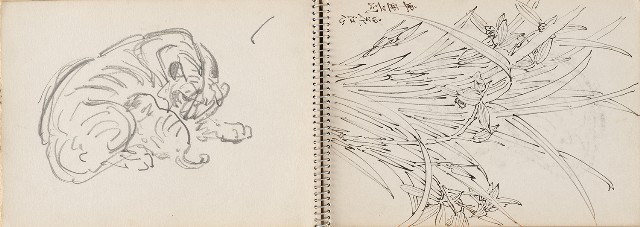 藏品:澎湖鯨魚洞、高雄月世界、動物及植物等寫生集的(14)張圖片