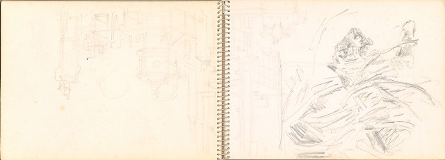 藏品:老樹幹、高山、鯨魚洞等061的(17)張圖片