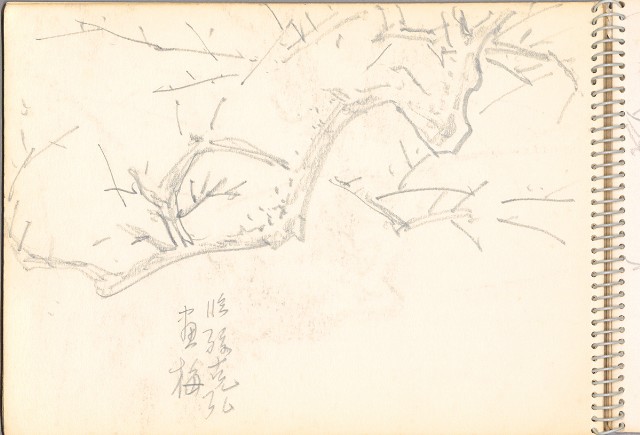 藏品:老樹幹、高山、鯨魚洞等061的(18)張圖片
