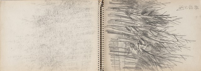 藏品:老樹幹、高山、鯨魚洞等061的(19)張圖片