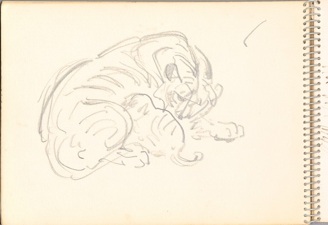 藏品:老樹幹、高山、鯨魚洞等061的(20)張圖片