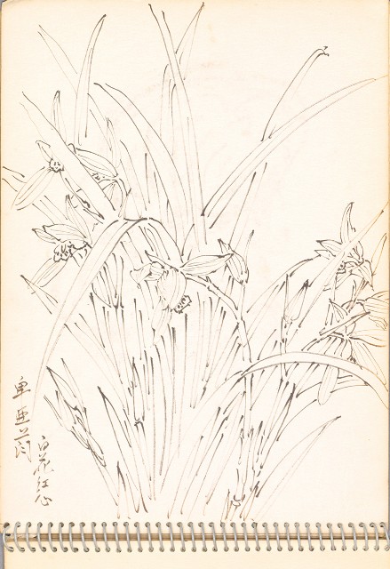 藏品:老樹幹、高山、鯨魚洞等061的(21)張圖片