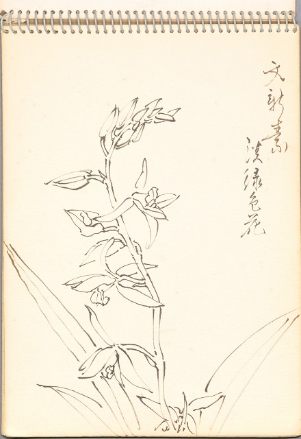 藏品:老樹幹、高山、鯨魚洞等061的(22)張圖片