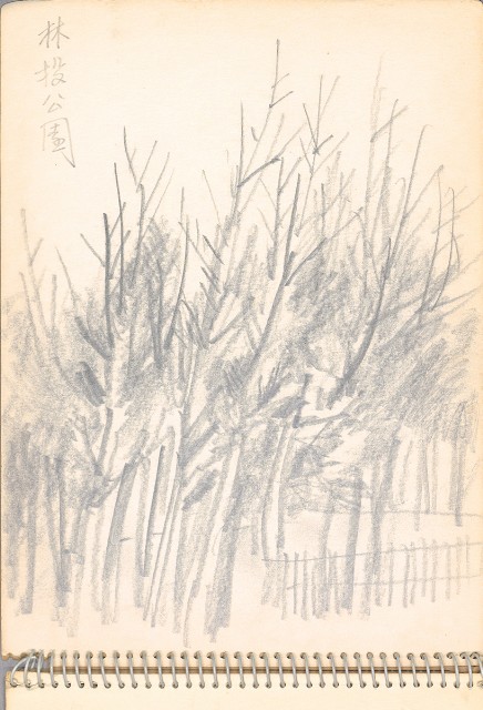 藏品:老樹幹、高山、鯨魚洞等061的(29)張圖片