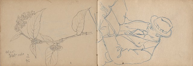 藏品:日治時期嘉義凍子腳及大埔等農村莊寫生集的(23)張圖片