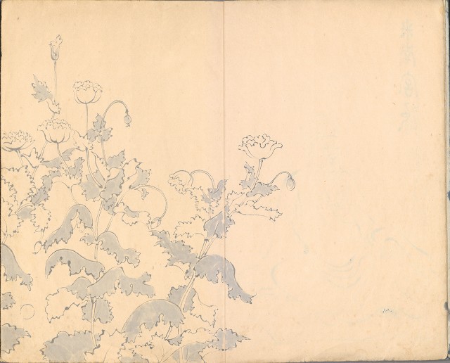 藏品:臨古畫,寫生等(1935赴日開始畫至光復1945結束 )063的(6)張圖片