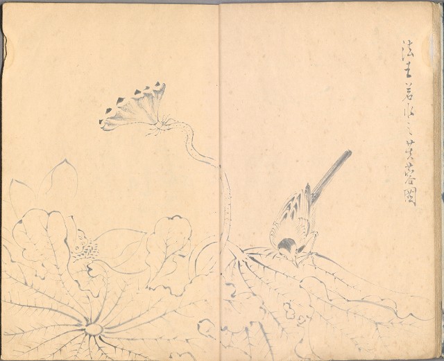 藏品:臨古畫,寫生等(1935赴日開始畫至光復1945結束 )063的(13)張圖片