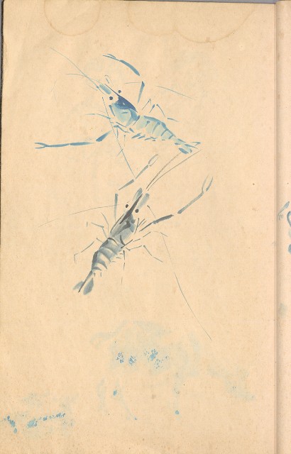 藏品:臨古畫,寫生等(1935赴日開始畫至光復1945結束 )063的(28)張圖片