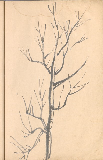 藏品:臨古畫,寫生等(1935赴日開始畫至光復1945結束 )063的(39)張圖片