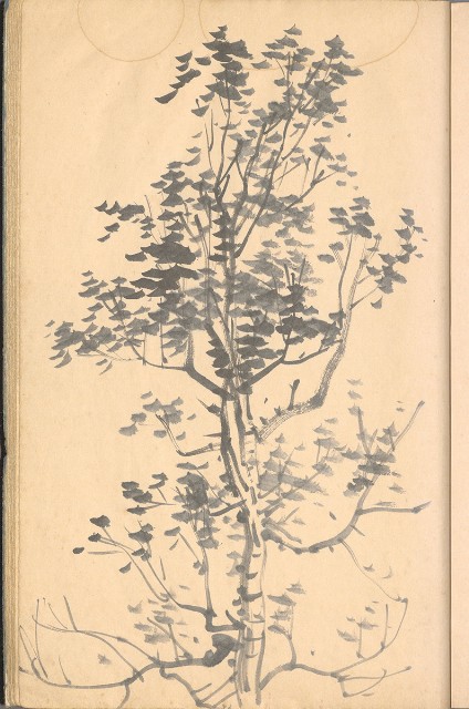 藏品:臨古畫,寫生等(1935赴日開始畫至光復1945結束 )063的(40)張圖片