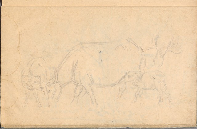 藏品:臨古畫,寫生等(1935赴日開始畫至光復1945結束 )063的(44)張圖片