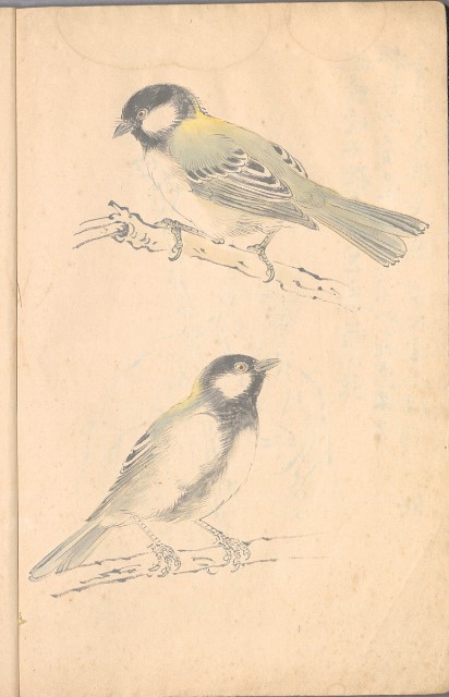 藏品:臨古畫,寫生等(1935赴日開始畫至光復1945結束 )063的(51)張圖片